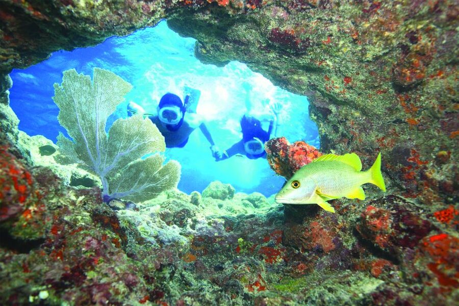Key West: Reef Snorkeling with Drinks and Sunset Option - Families, first-timers, and confident swimmers