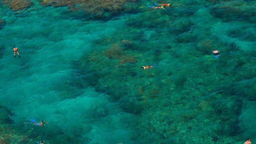 Key West: Reef Snorkeling with Drinks and Sunset Option - Sailing toward the living coral reef