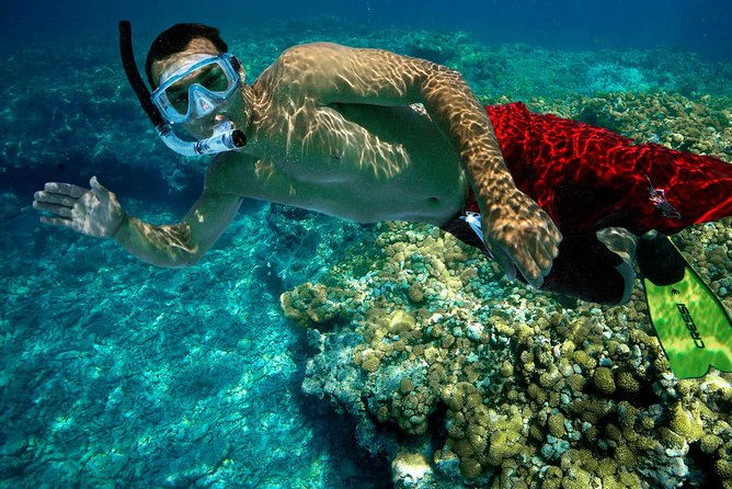 Key West Rum and Reggae: Reef Snorkel Adventure and Sunset Sail - The ride to North America’s only living coral reef