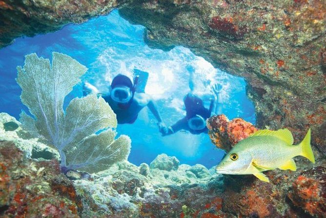 Key West Rum and Reggae: Reef Snorkel Adventure and Sunset Sail - Is $59.95 a good Key West value?