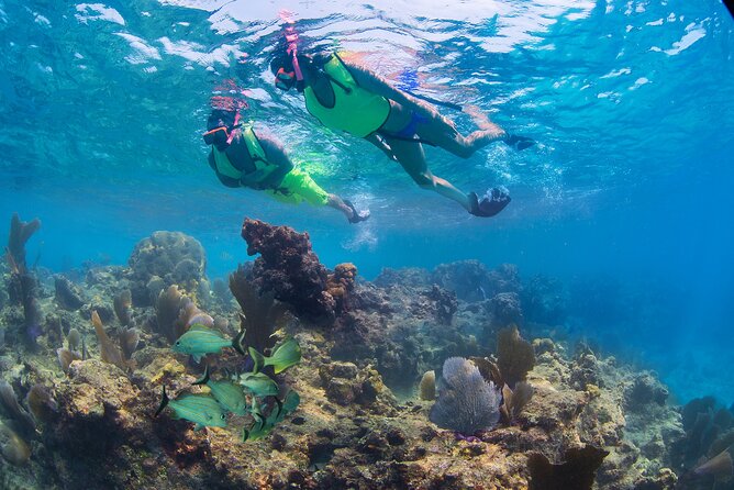 Key West Rum and Reggae: Reef Snorkel Adventure and Sunset Sail - Practical booking and cancellation advice