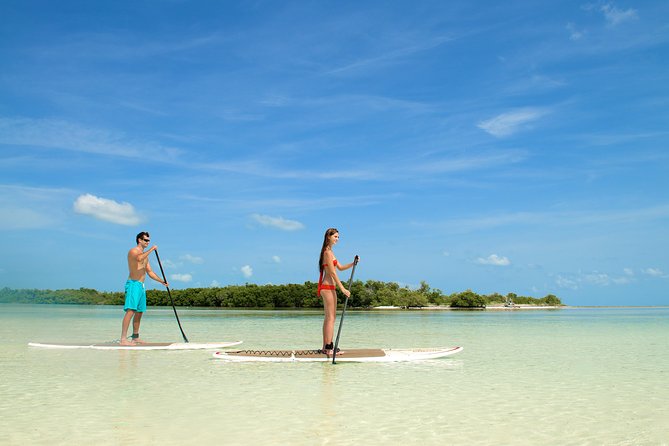 Key West's Island Adventure Sandbar Tour with Kayaking - Is $119.95 a fair price?