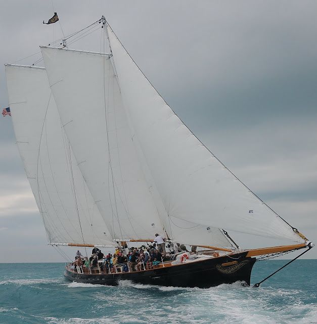 Key West: Schooner Sunset Sail with Food & Drinks - Wildlife sightings are a bonus