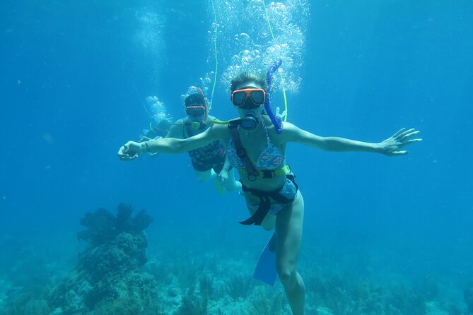 Key West SNUBA Experience - From Garrison Bight Marina to open water