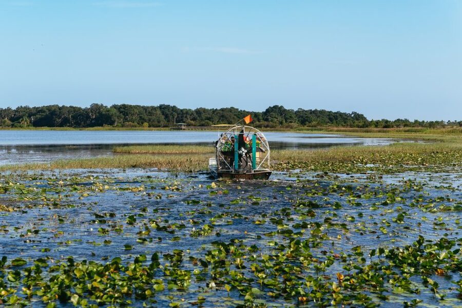 Kissimmee: Everglades Airboat Adventure Tour - Key points before you book