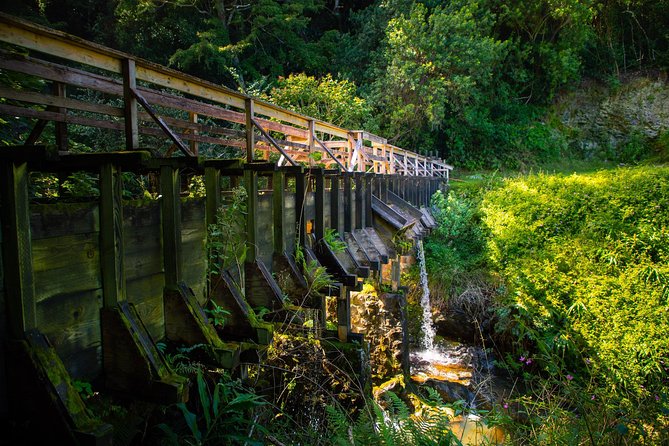 Kohala Waterfalls Small Group Adventure Tour - Walking through private forest and old farm country