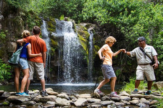 Kohala Waterfalls Small Group Adventure Tour - Who will enjoy this tour most