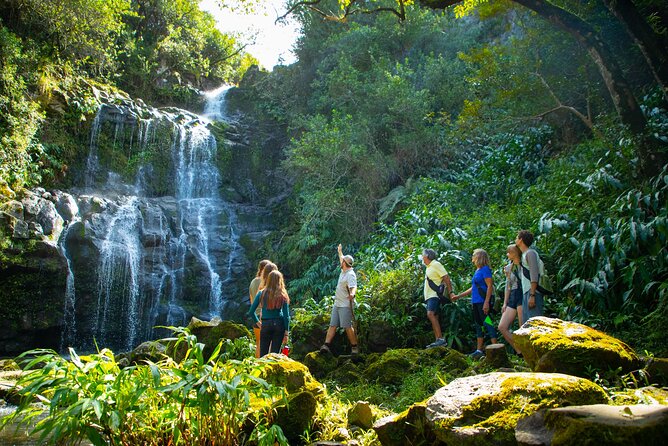 Kohala Waterfalls Small Group Adventure Tour - The coast drive to Hawi and Kapaau