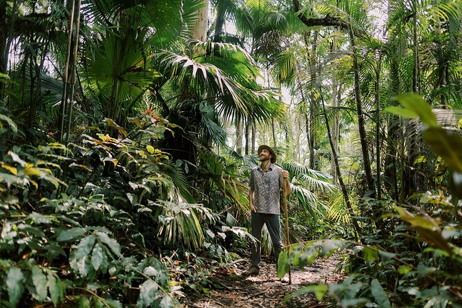 Kona Cloud Forest Sanctuary Montane Jungle Tour (2.5 hrs) - The Guides Give the Walk Its Personality