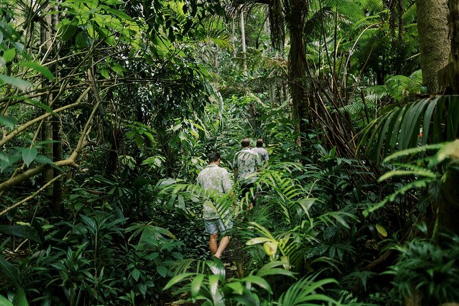 Kona Cloud Forest Sanctuary Montane Jungle Tour (2.5 hrs) - Practical Clothing and Timing Advice