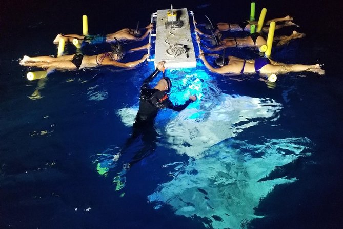 KONA Manta Ray Night Snorkel - FREE re-ride if no Sightings - Key points to know before you book