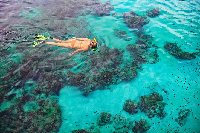 Kona Snorkel Tour: Captain Cook Reef Snorkel, Dolphin & Sea Caves - Guides, stories, and the feel on board