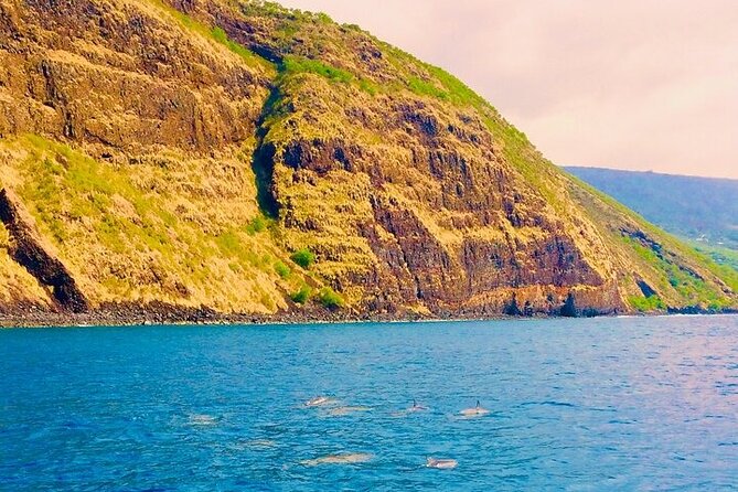 Kona Snorkel Tour: Captain Cook Reef Snorkel, Dolphin & Sea Caves - Comfort, age, and physical demands