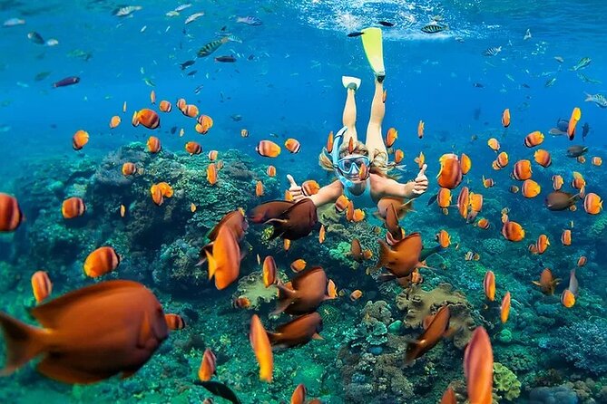 Kona Snorkel Tour: Captain Cook Reef Snorkel, Dolphin & Sea Caves - Why Captain Cook Reef is the main event