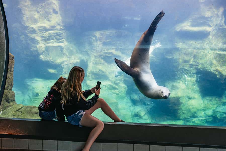LA: Aquarium of the Pacific Skip-the-Line Entry - Aquarium of the Pacific highlights