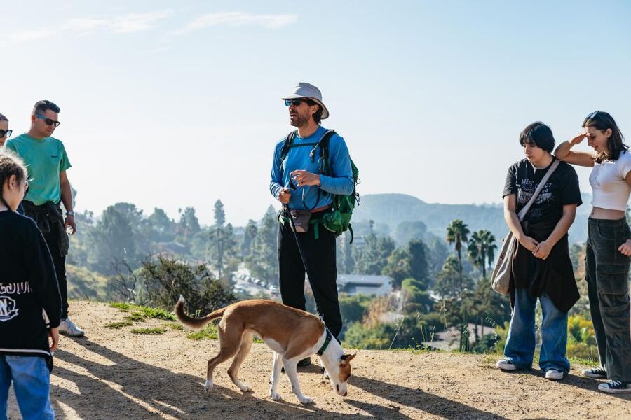 LA: Express Hollywood Sign Guided Walking Tour with Photos - Who will enjoy this Hollywood hike most