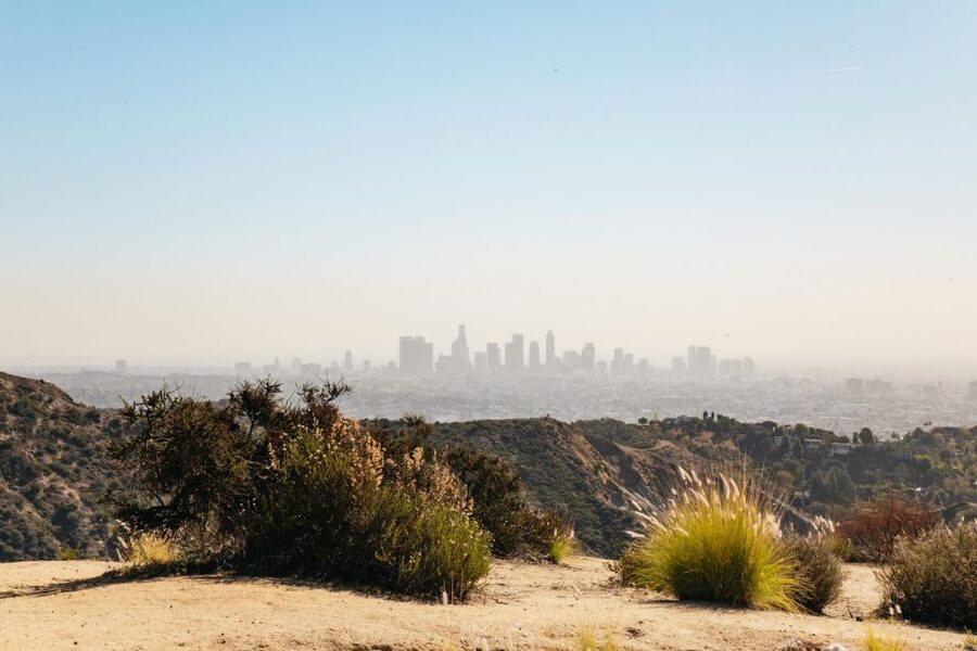 LA: Express Hollywood Sign Guided Walking Tour with Photos - The express route versus a full hike