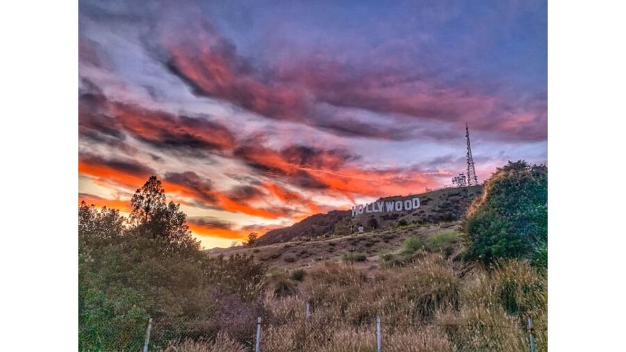 LA: Hollywood Sign Tour with Comedians, Dogs, & Epic Photos - The best viewpoints arrive in stages