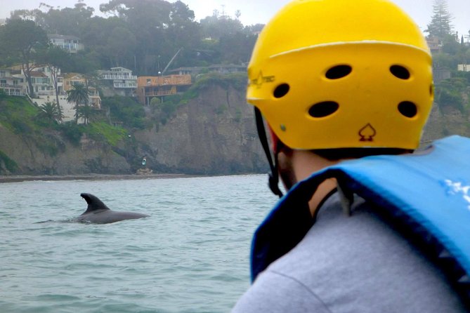 La Jolla Sea Caves Kayak Tour For Two (Tandem Kayak) - The La Jolla Ecological Reserve from the water