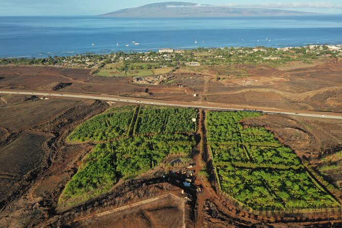 Lahaina: Maui Ku'ia Estate Guided Cacao Farm Tour and Tasting - Starting at Hawaii’s largest chocolate factory