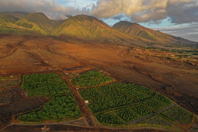 Lahaina: Maui Ku'ia Estate Guided Cacao Farm Tour and Tasting - Group size, timing, and the feel of the visit