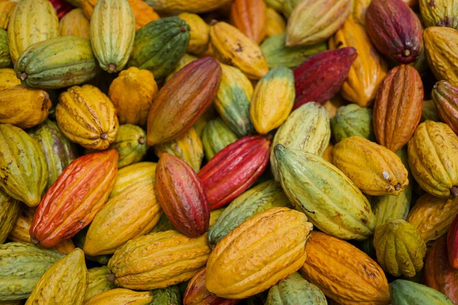 Lahaina: Maui Ku'ia Estate Guided Cacao Farm Tour and Tasting - What to know before you go