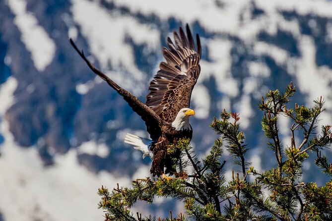 Lake Tahoe Small-Group Photography Scenic Half-Day Tour - Sugar Pine Point and Tahoe’s older summer retreats