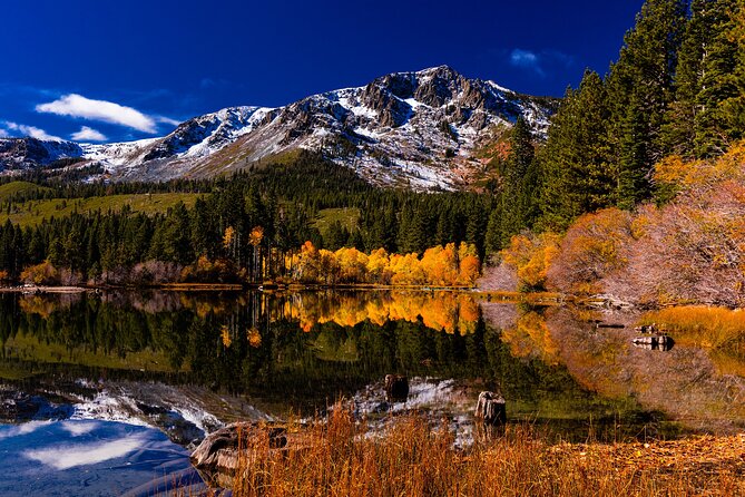 Lake Tahoe Small-Group Photography Scenic Half-Day Tour - The photography instruction you actually receive
