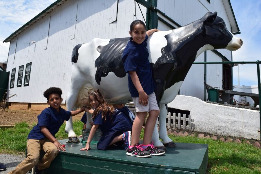 Lancaster County: Amish Farmlands, Museum Tour, Farm Visit - Five things to know before you go