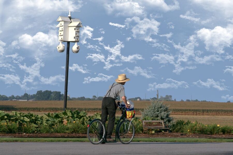 Lancaster County: Amish Farmlands, Museum Tour, Farm Visit - Starting beside Target in an 1805 farmhouse
