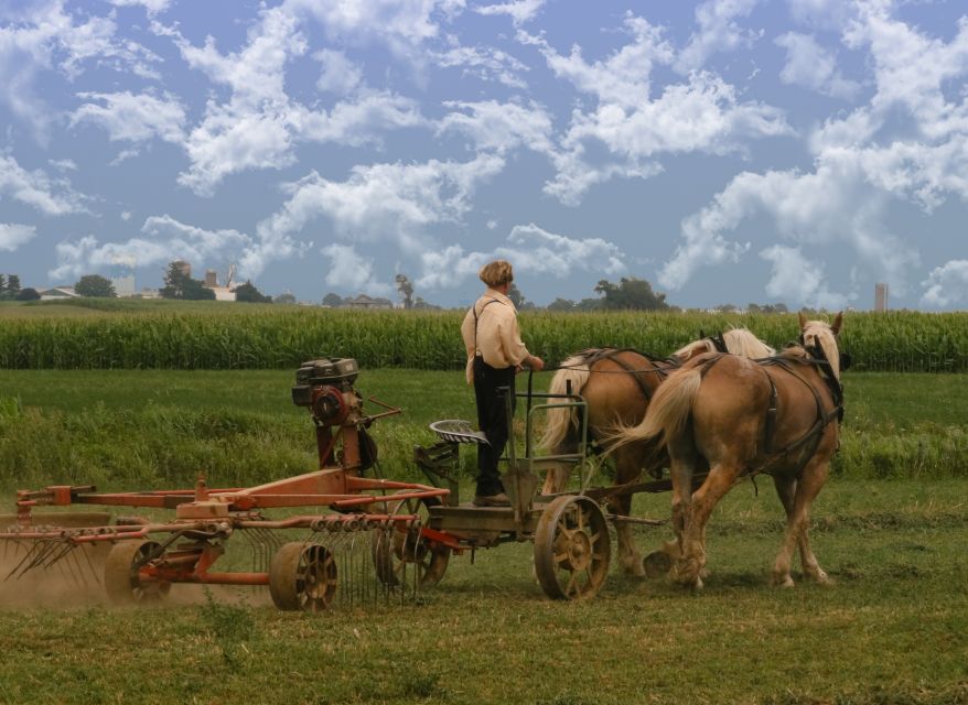 Lancaster County: Amish Farmlands, Museum Tour, Farm Visit - What makes the tour respectful and useful