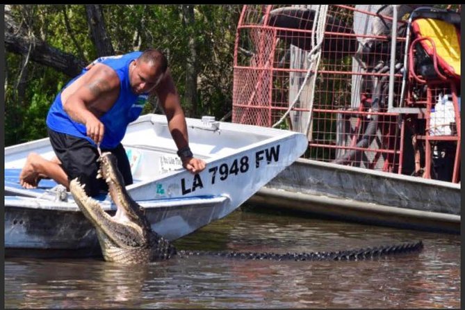 Large Airboat Swamp Tour with Transportation from New Orleans - What the swamp adds beyond the speed