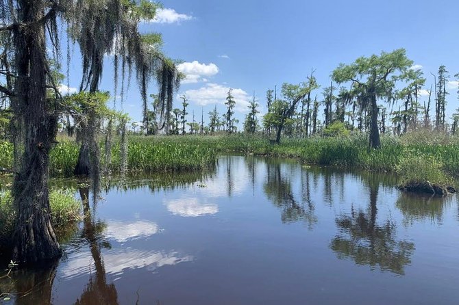 Large Airboat Swamp Tour with Transportation from New Orleans - How the experience handles safety and comfort