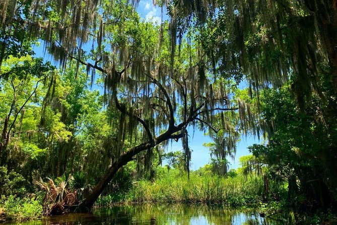 Large Airboat Swamp Tour with Transportation from New Orleans - The 16-passenger airboat ride