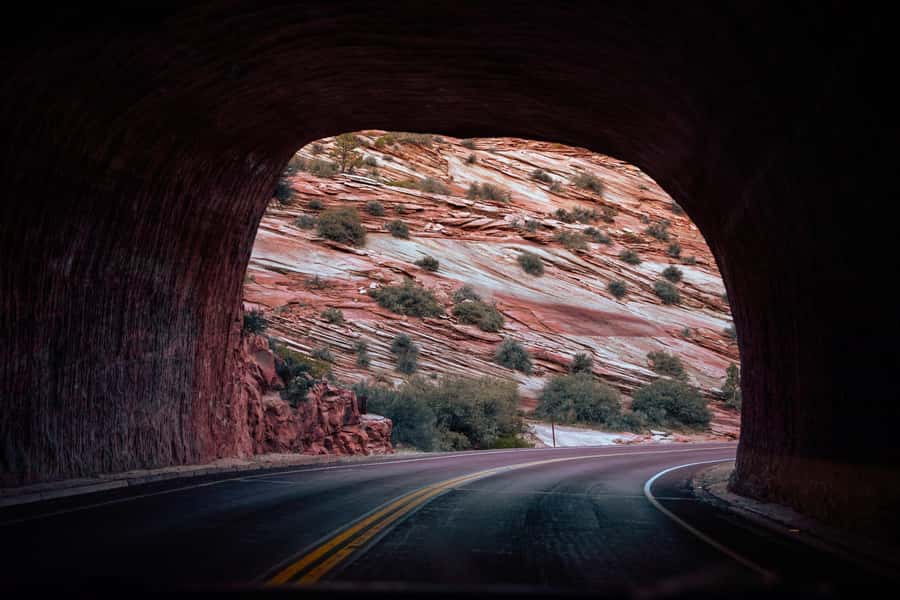 Las Vegas: Bryce and Zion National Parks Tour with Lunch - The Five Details That Matter Most