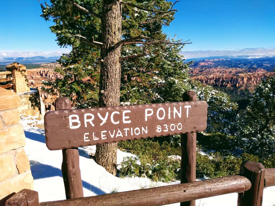Las Vegas: Bryce and Zion National Parks Tour with Lunch - Who Should Book This Tour?