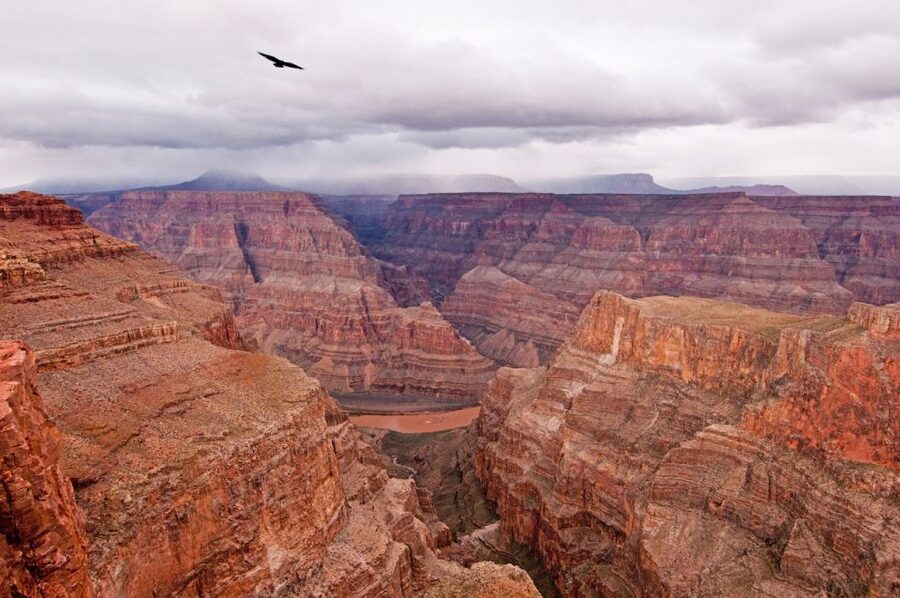 Las Vegas: Grand Canyon Helicopter Landing Tour - Key points to know before you book