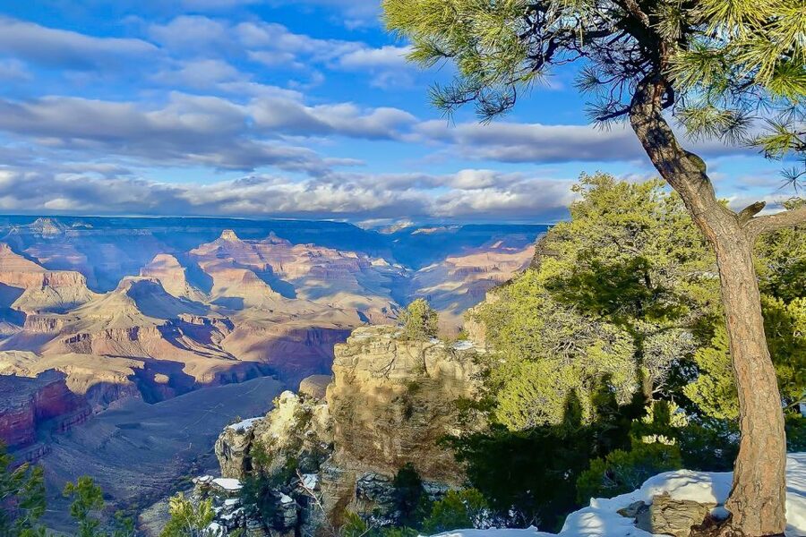 Las Vegas: Grand Canyon National Park South Rim Guided Tour - Three hours at Grand Canyon National Park