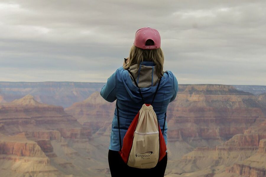 Las Vegas: Grand Canyon National Park South Rim Guided Tour - Mather Point: your first big view