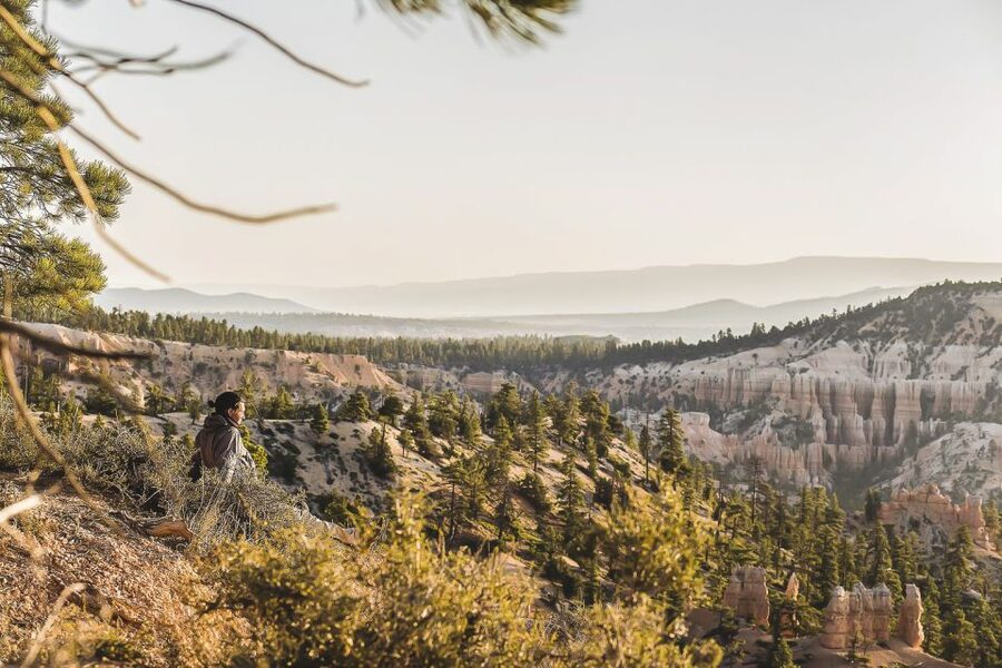 Las Vegas: Grand Canyon National Park South Rim Guided Tour - The Trail of Time and the Yavapai option
