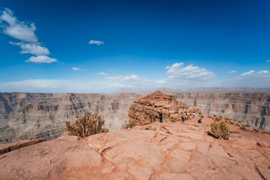 Las Vegas: Grand Canyon West & Hoover Dam Tour + Breakfast - Joshua Tree Forest: a scenic start, not a main stop