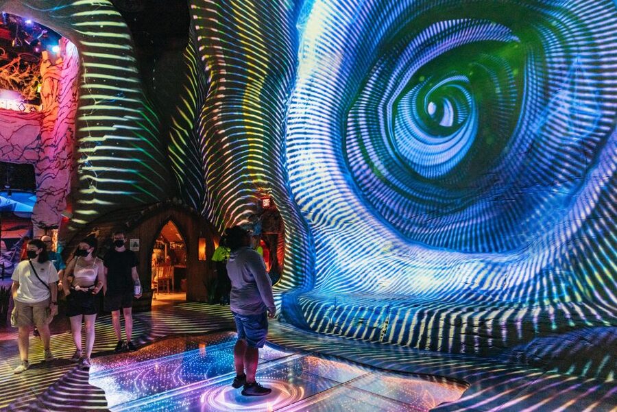 Las Vegas: Meow Wolf Omega Mart Ticket - Finding portals and secret routes