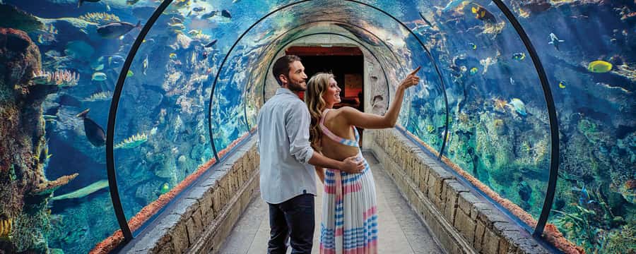 Las Vegas: Shark Reef Aquarium Entry Ticket - Key points to know before you go