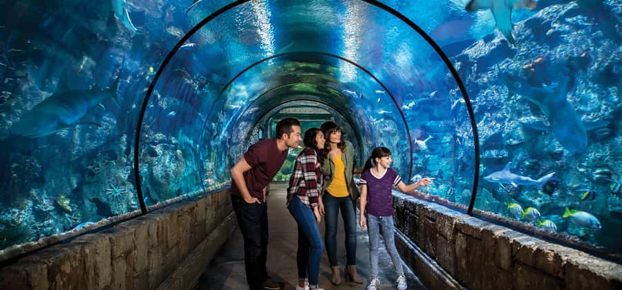 Las Vegas: Shark Reef Aquarium Entry Ticket - Finding Shark Reef inside Mandalay Bay