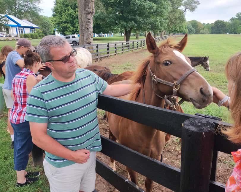 Lexington: Thoroughbred Horse Farm Tour and Scenic Bluegrass - Why Lexington is the right place to learn about thoroughbreds