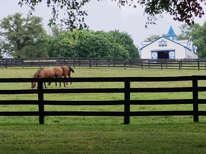 Lexington: Thoroughbred Horse Farm Tour and Scenic Bluegrass - The drive through bluegrass country