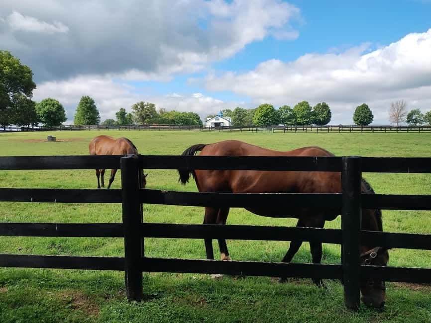 Lexington: Thoroughbred Horse Farm Tour and Scenic Bluegrass - Keeneland Race Course and its movie connections