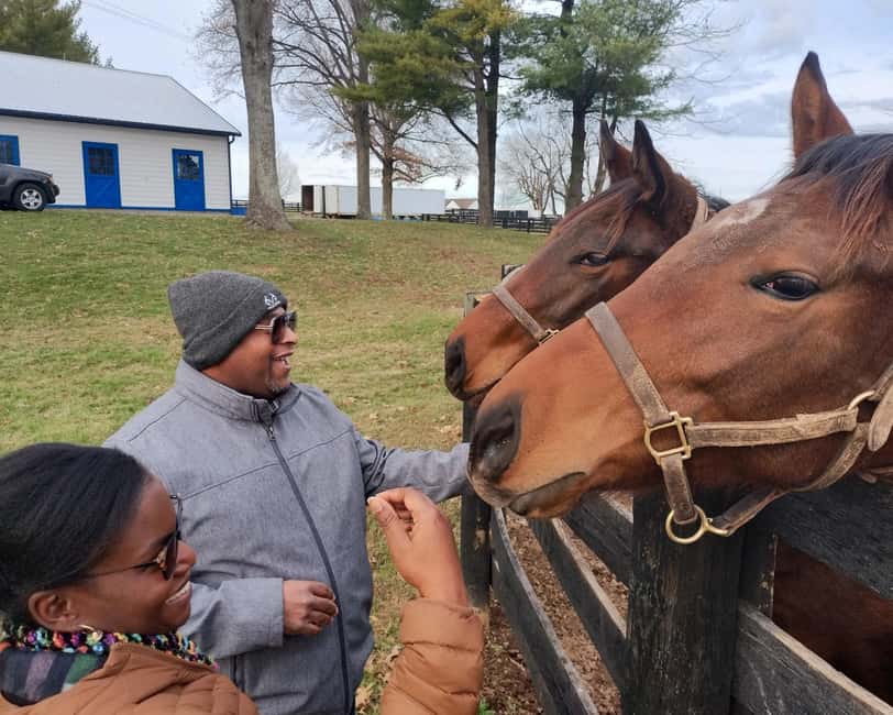 Lexington: Thoroughbred Horse Farm Tour and Scenic Bluegrass - Is the $45 price good value?