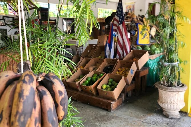 Little Havana: Authentic Food and Culture Walking Tour - What the $69 price really covers
