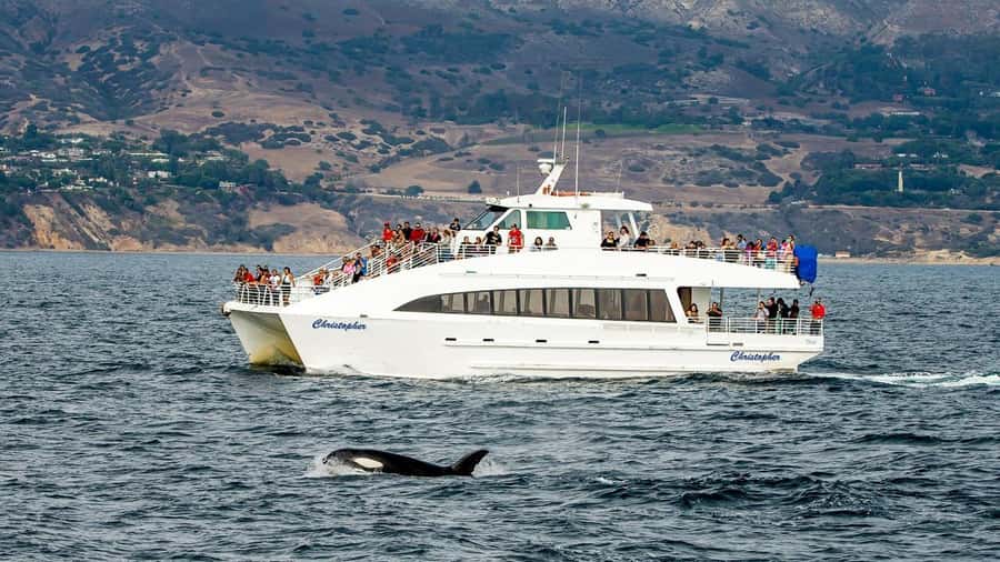 Long Beach: Whale and Dolphin Watching Cruise - Setting out from Long Beach Harbor